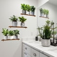 thumbnail image 2 of Flower Pots Wall Decals Wall Stickers Bedroom Living Decor Art Plants Removable murals Peel Stick Green Nursery Home DIY Leaves Kids Leaf Potted Vinyl Classroom Decoration Garden, 2 of 8