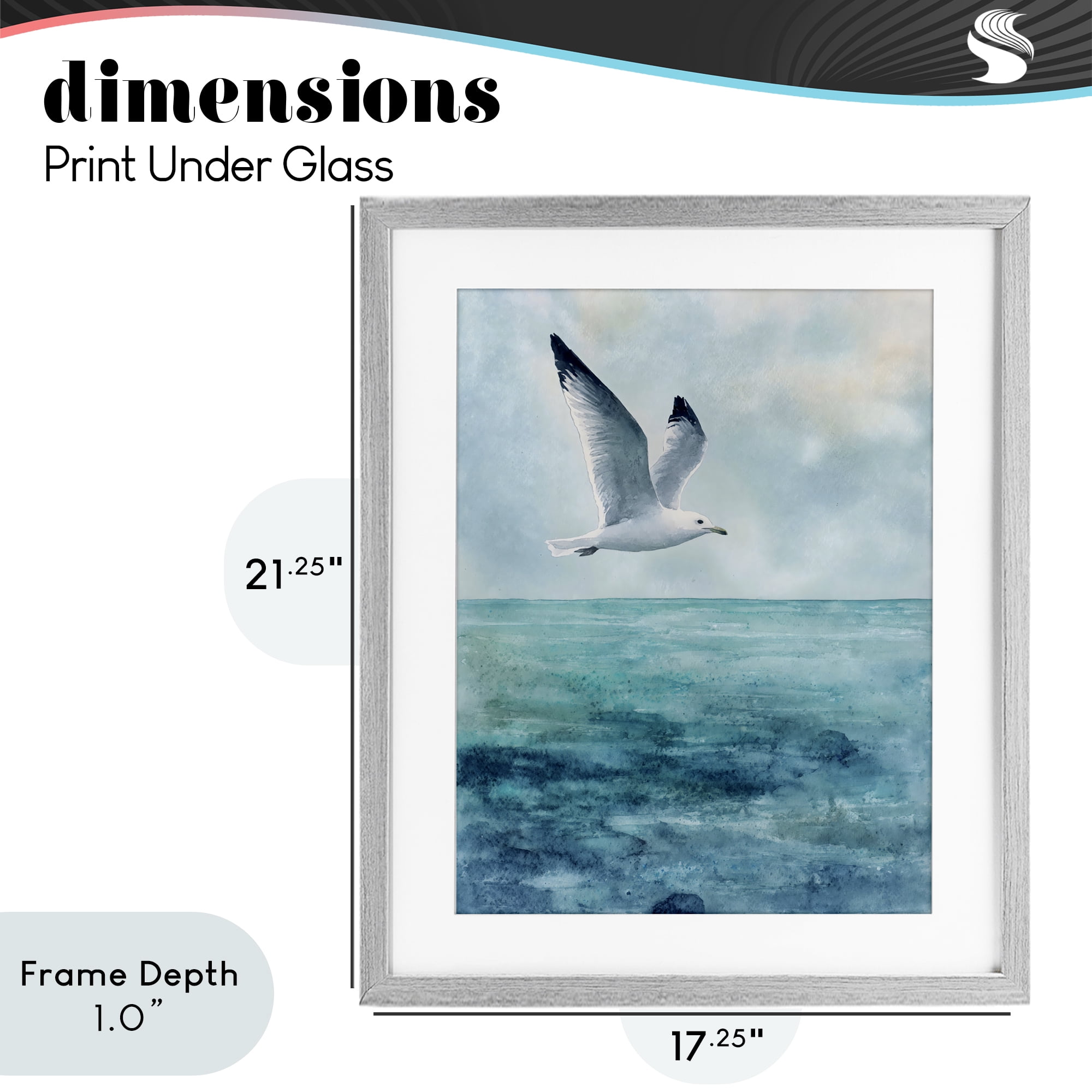 Stupell Industries Seagull With Black Tips Gray Framed Print Under Glass, design by Franklyn Gregory