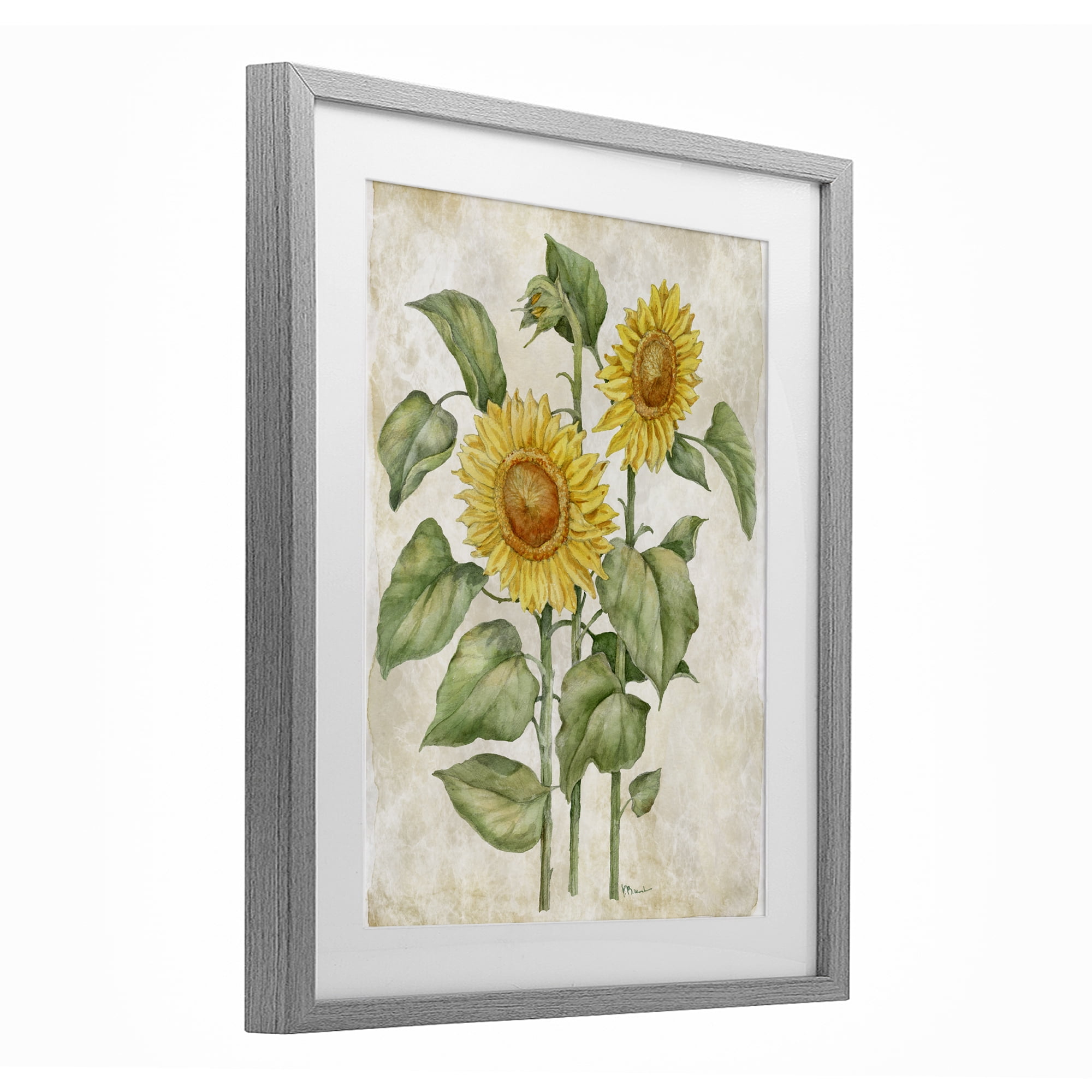 Stupell Industries Floral Journal Vintage Sunflower Gray Framed Print Under Glass, design by Paul Brent
