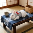 thumbnail image 6 of Pgyong Rabbit Harness and Leash Set with Vest, Adjustable Breathable Mesh Small Pet Harness for Rabbits and Guinea Pigs, 6 of 6
