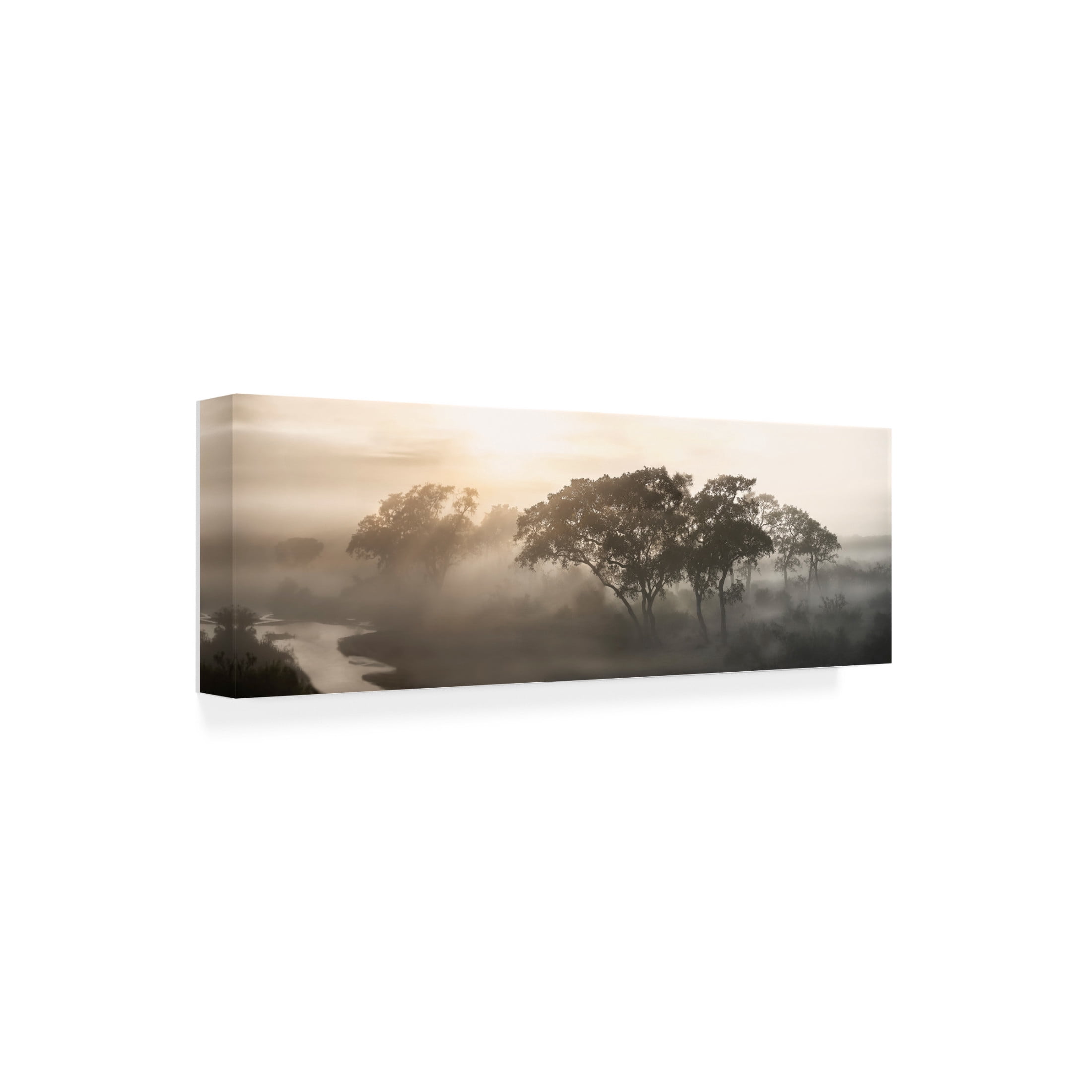 Canvas Wall Art - Nicola Molteni 'Savana Sunrise' Wall Art for Living Room, Bedroom, or Office D?cor by Trademark Fine Art - 19 x 6 Inches