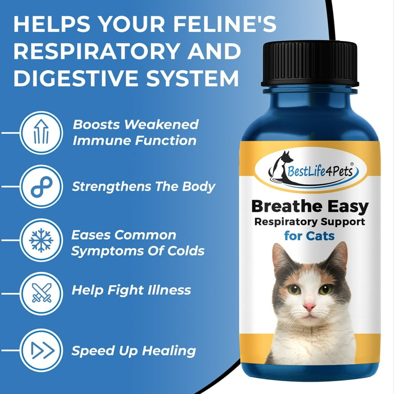 Cat cold medicine walmart 2025