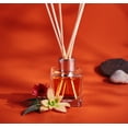 thumbnail image 3 of Smells Cactus Blossom Reed Diffuser, 50 ml, 3 of 5