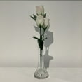 thumbnail image 4 of WGV Clear Short Bud Vase - 3" Wide x 8" Height, Good quality, Heavy Weighted Base - 1 Pc, 4 of 6