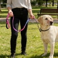 thumbnail image 7 of Heavy Duty Dog Leash, 4-7FT Shock Absorbing Bungee with 2 Padded Handles, Metal Carabiner & Seatbelt for Large Dogs, 7 of 7