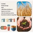 thumbnail image 3 of Vajilla Juego Cocina Paja Trigo Plato Tazas Kit 48pcs, 3 of 4