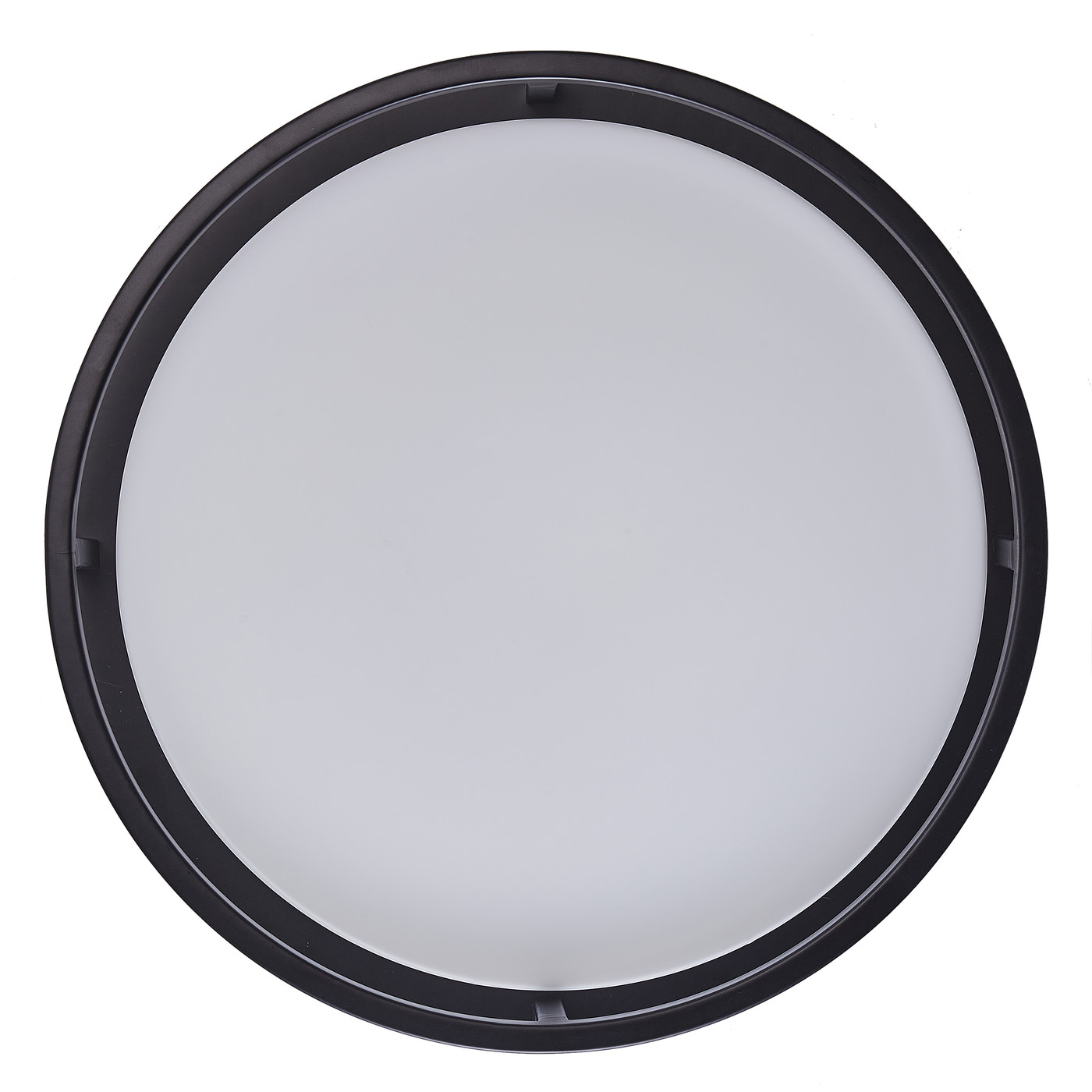 Aiwen 2 Light Acrylic Opal Shade Modern Flush Mount Ceiling Lamp