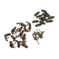 thumbnail image 1 of Gancho de Cierre de Bronce de 12 piezas, 12 piezas, Joyería decorativa antigua, regalo, caja de madera para ferretería de vid, gancho de pestillo con tornillo, 1 of 7