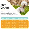 thumbnail image 6 of Dog Harness and Leash Set, No Pull Pet Harness for Small Dogs Easy Walking,Soft Breathable Small Dog Harness,Adjustable Reflective Step in Vest Harness for Puppy,Kitten, Cats, 6 of 7