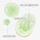 thumbnail image 3 of Limpiador Facial Youth To The People Kale y Té Verde, 3 of 10
