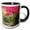 Black/White, variant on 3drose, Washington State, Seattle. Autumn Color, Japanese Garden, 11oz Two-tone Red Mug