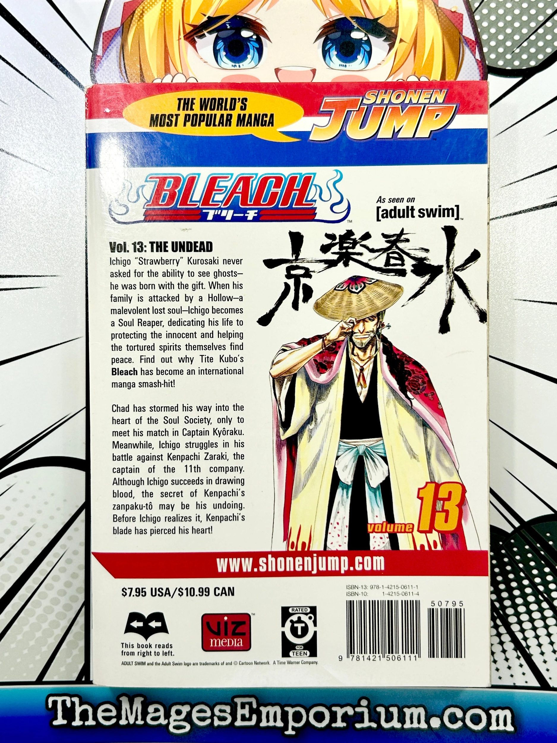 Bleach: Bleach, Vol. 13 (Series #13) (Paperback) - Walmart.com