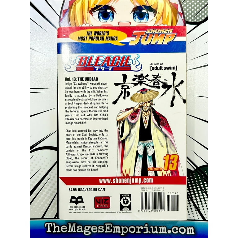 Bleach: Bleach, Vol. 13 (Series #13) (Paperback) - Walmart.com