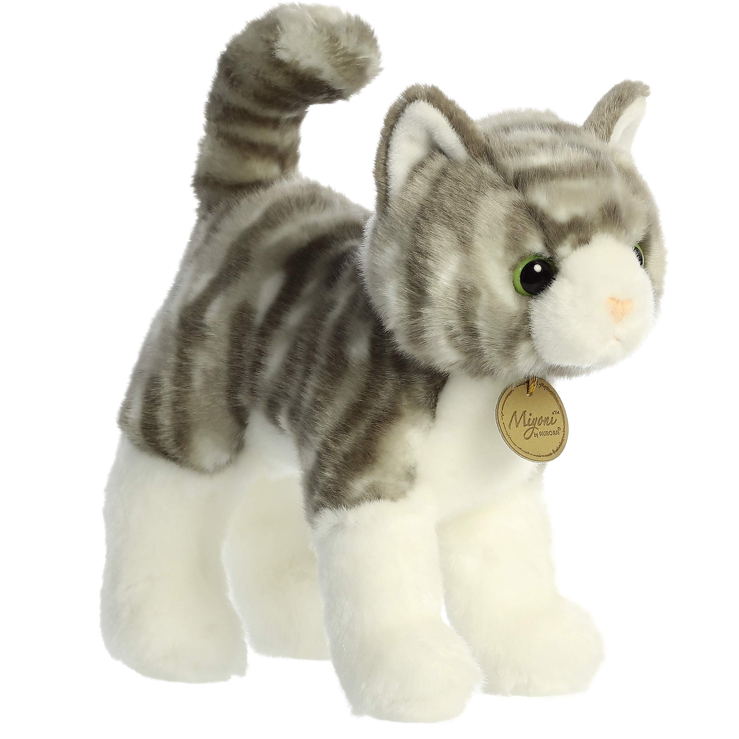 aurora miyoni cat