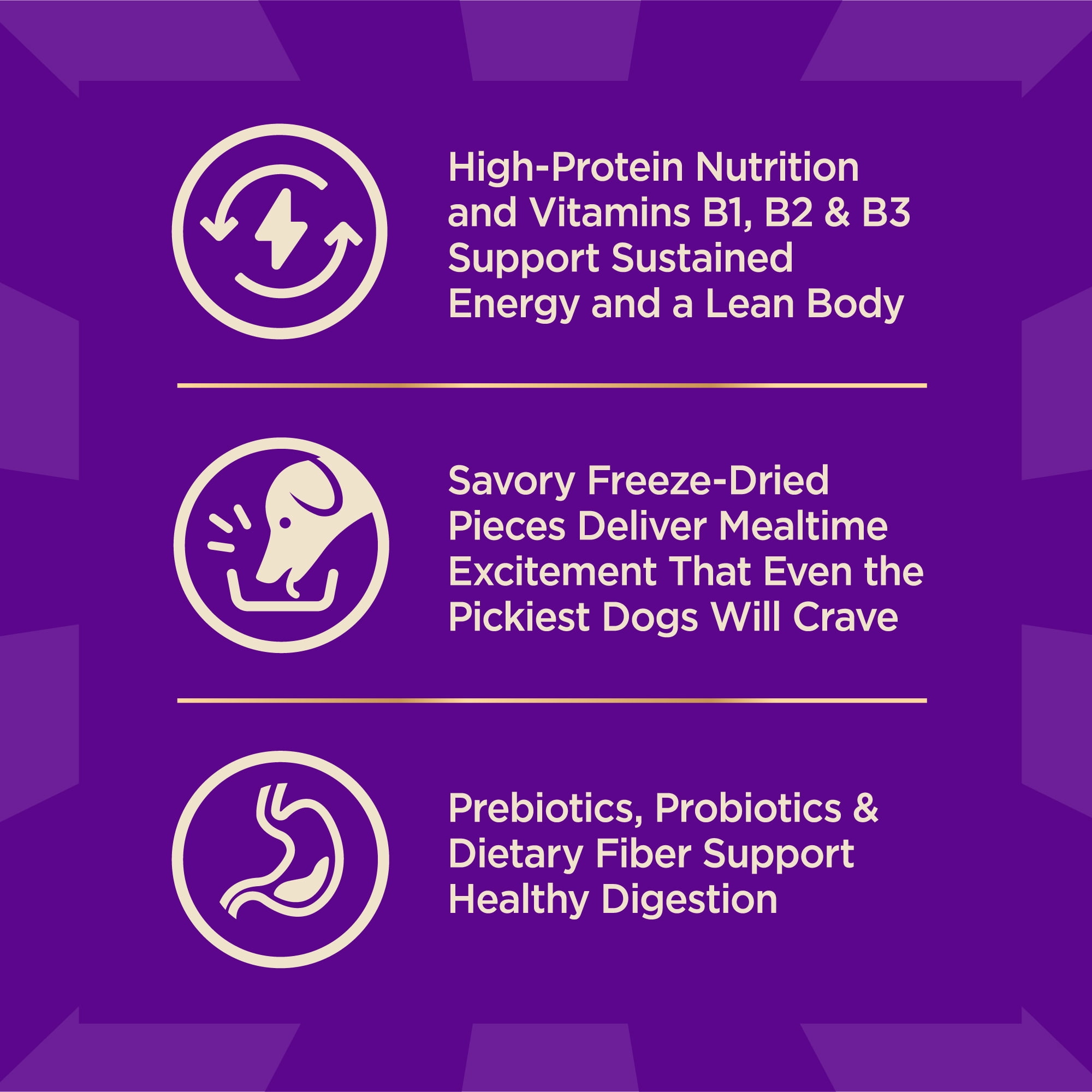 Wellness CORE+ Adult Dry Dog Food with Freeze Dried Pieces, Grain Free Kibble+, Natural, High Protein, Chicken Free, Whitefish, Herring, and Salmon Recipe, 10 lb Bag