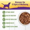 thumbnail image 3 of Wellness Thick & Chunky Natural Canned Dog Food, Lamb & Beef Stew, 12.5-Ounce Can (Pack of 12), 3 of 8