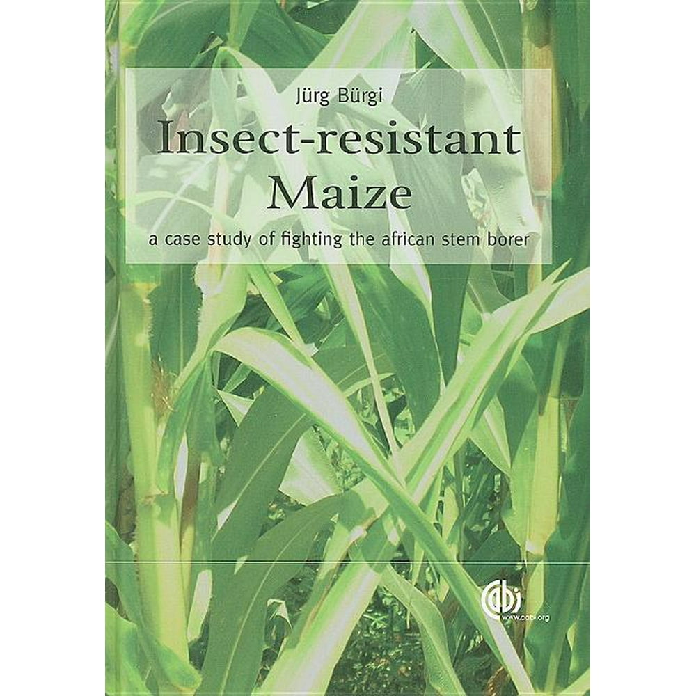 Maize case study 06 picture