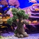 thumbnail image 1 of de bonsai de acuario, adornos de decoración de peces, creativos, accesorios para paisajes de bricolaje, resina para la decoración del acuario de, 1 of 9