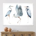 thumbnail image 3 of Designart 'Portrait Of Heron Birds II' Traditional Framed Art Print, 3 of 4