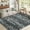 Black, variant on HOMERRY Geometric Washable Indoor Carpet Farmhouse Non-Slip Modern Rug for Living Room, 5' x 7' Rainbow
