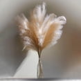 thumbnail image 7 of Uxcell 20Pcs Faux Pampas Grass 21.65" Fake Pampas Grass Decor Dark Blue/Brown, 7 of 7