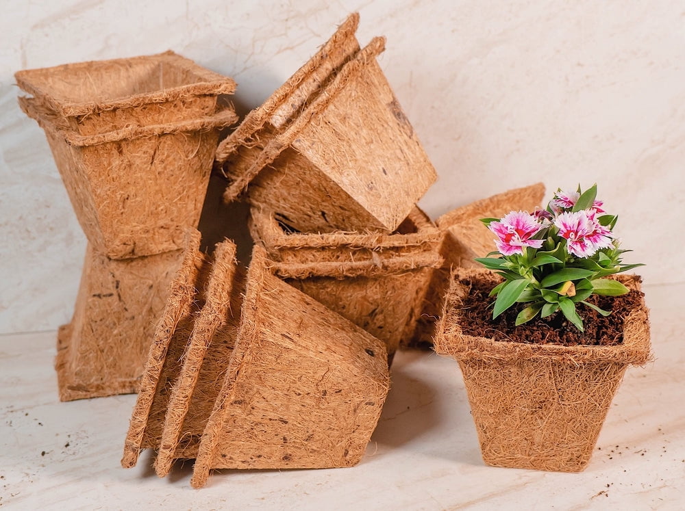 Envelor Coco Coir Plant Pots Seed Starter Tray Biodegradable Seed Starter Pots Coco Peat Pots Seedling Cups Small Plant Pots Germination Nursery Planting Tray Plant Starter Pots, 4 Inches 20 Pack