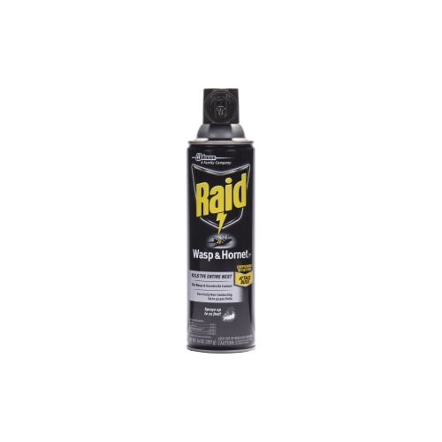 Raid Killer Spray Spray Kills Wasp, Mud Dauber
