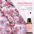 thumbnail image 2 of Aceite esencial ESSLUX Cherry Blossom 30 ml para difusor, masaje, 2 of 5