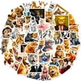 thumbnail image 5 of 50-Pack Funny Cat Stickers - Hilarious Cat Meme, Expression Pack, Silly Doodles, and Prank Stickers for Luggage, Water Bottles, and More, 5 of 5