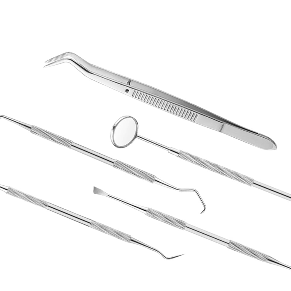 Silver 5pcs Stainless Steel Dental Tools Kit Teeth Tartar Scraper Mouth