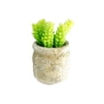 thumbnail image 3 of K-Cliffs Set of 3 Realistic Faux Artificial Succulent Plants in Rustic Cement Pot Planter, 3 of 10