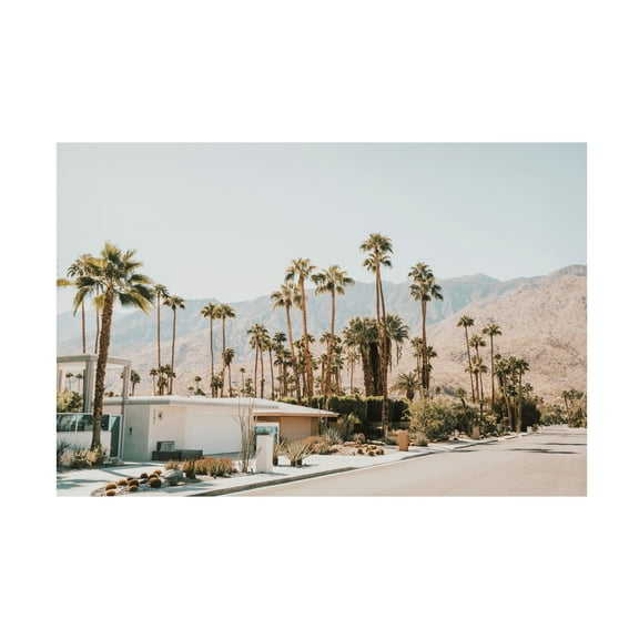 Canvas Wall Art - Krista Broadway 'Aviva' Wall Art for Living Room, Bedroom, or Office Décor by Trademark Fine Art - 19 x 12 Inches