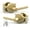 Satin Brass, variant on Mega Handles | Ronn Dummy Door Lever | Pack of 2| Satin Nickel