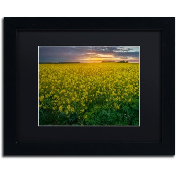 Trademark Fine Art "Yellow Planet" Canvas Art by Mathieu Rivrin, Black Matte, Black Frame