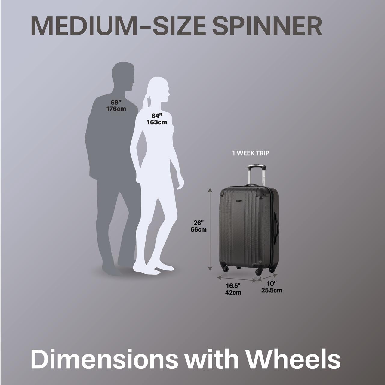 Jetstream Southbound 28 Inch Hardside Expandable Large Checked Luggage, Rolling Travel Suitcase with Spinner Wheels