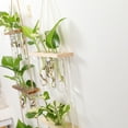thumbnail image 2 of Advancent Terrario de plantas para colgar en la pared: de fácil a amplia aplicación Tubos de propagación de plantas firmes y duraderos Type2 NO2, 2 of 6