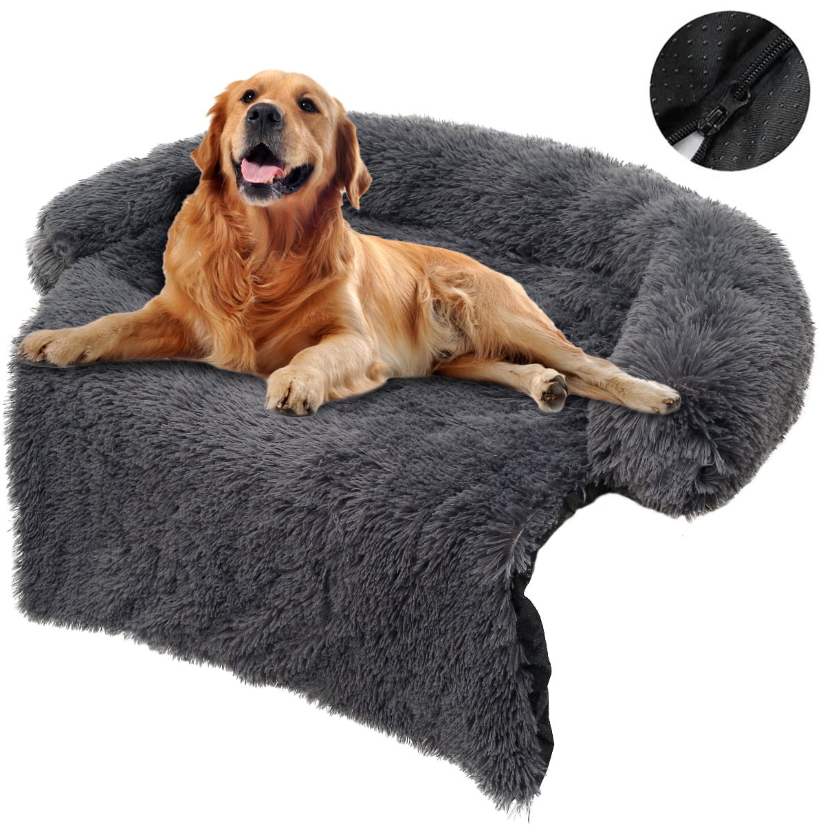 lawn chairs for dogs