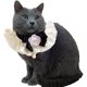 thumbnail image 2 of Collar para perro y gato con lazo, lindo disfraz de gato, collar de encaje para mascotas, accesorios de bandana, collar de bufanda para perros pequeños, para perros pequeños, 2 of 3