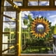 thumbnail image 1 of onlyliua ¡ ¡Promoción de Temporada! Cadena de Hierro con Diseño de Girasol para Decoración de Escaparates, Decoración de Porches, Colgante para Regalo, 1 of 5