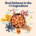 thumbnail image 4 of Solid Gold Let's Stay In Dry Cat Food, Salmon, Lentil & Apple Recipe, Grain Free, 3 lb Bag, 4 of 12