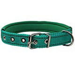 Soft Neoprene Padded Adjustable Reflective 1" Wide Classic Dog Collar Green 3 Sizes