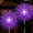 Purple, variant on Outdoor Solar Lights Firework, 2 Pack 120 LEDs Waterproof Solar Lights for Outside Garden Yard Pathway Fence - Warm White
