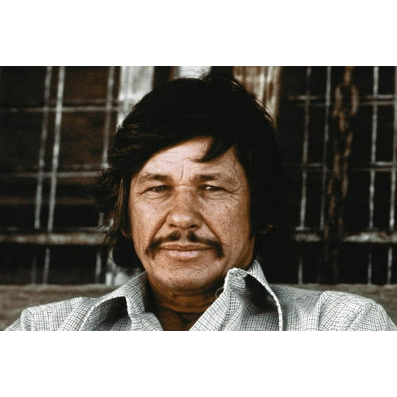 MovieMarket Charles Bronson in Mr. Majestyk 24x36 Poster