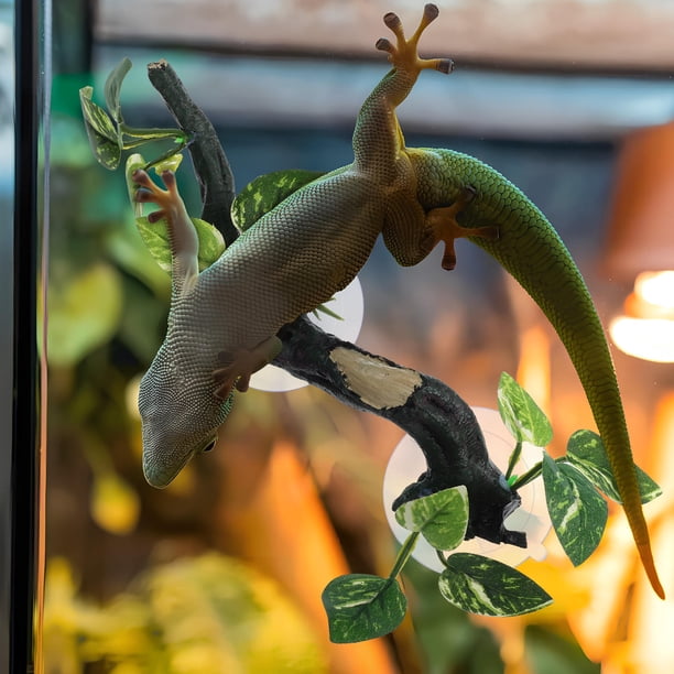 unbranded Natural Para Terrarios Con Rama De Resina Para Reptiles Y