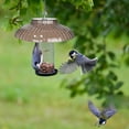 thumbnail image 4 of Mangeoire pour Oiseaux Extérieure Housse de Protection Dôme Imperméable pour Jardins Inclinés et Porche de Cour, 4 of 5