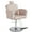 Grey, variant on KIGOTY Barber Chair Reclining Salon Chair for Salonsfor Barbershop Hair Salon Spa Equipment,All Purpose Styling Chair with Heavy Duty Hydraulic Pump,White