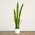 thumbnail image 4 of Nearly Natural 30in. Artificial Sansevieria Plant, 4 of 6