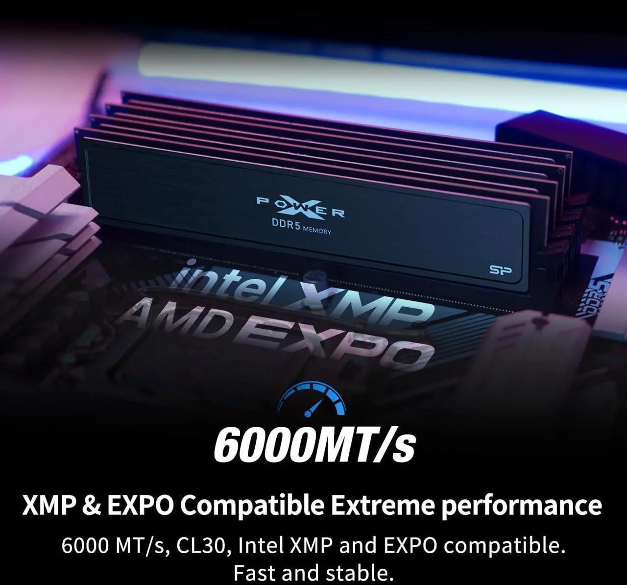 Silicon Power DDR5 32GB (2x16GB) Value Gaming 6000MT/s (PC5-48000) 288-pin CL36 1.35V UDIMM Desktop Memory Module RAM SP032GXLWU60FFDJ