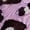 Multicolor, variant on Animal (Leopard) Print Socks (Knee High) Color: Lilac