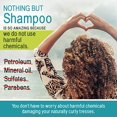 thumbnail image 3 of Nothing But Shampooing Clarifiant Détox Sans Sulfate pour Cheveux Naturels - Shampooing pour Cheveux - Sans Parfum - Élimine les Accumulations - 12oz - Lot de 2, 3 of 5